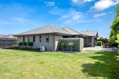 Photo of property in 47 Tremorne Avenue, Blenheim, 7201
