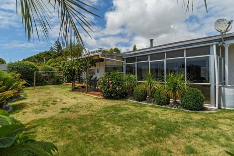 Photo of property in 113 Laurence Street North, Gate Pa, Tauranga, 3112