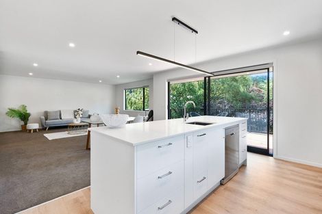 Photo of property in 38a Watts Road, North East Valley, Dunedin, 9010