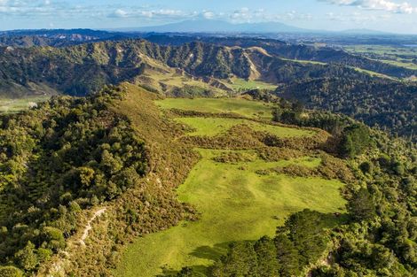 Photo of property in 1177 Mokau Road, Mimi, Urenui, 4379