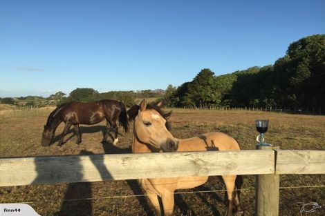 Photo of property in 186 Creamery Road, Pollok, Waiuku, 2683