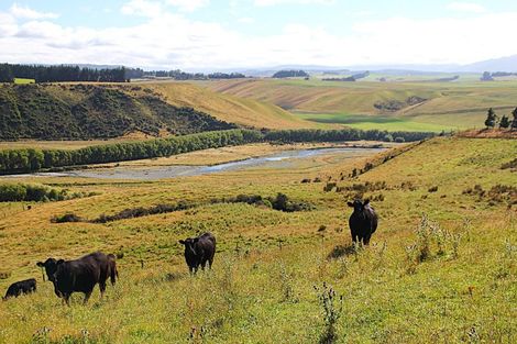 Photo of property in 93 Ridgedale Road, 9672