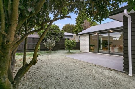 Photo of property in 56a Chaucer Street, Leamington, Cambridge, 3432