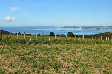 Photo of property in 16 Little Lane, Tinopai, 0593