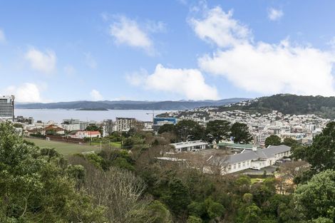 Photo of property in 5/60 Fairlie Terrace, Kelburn, Wellington, 6021