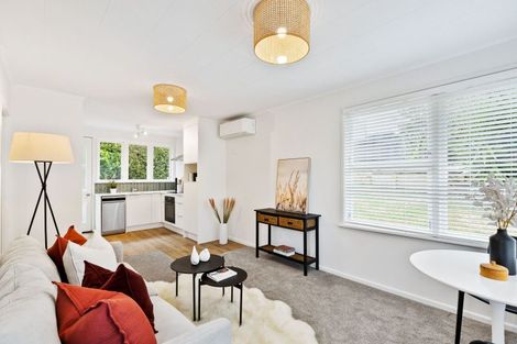 Photo of property in 1/67 Second Avenue, Kingsland, Auckland, 1021