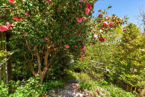 Photo of property in 8 Gradwell Place, Two Mile Bay, Taupo, 3330