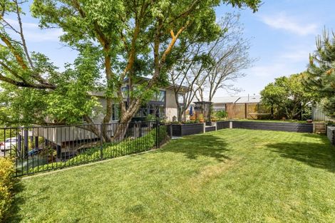 Photo of property in 57 Tanner Street, Havelock North, 4130