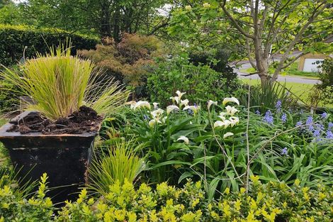 Photo of property in 113 Parawai Road, Thames, 3500