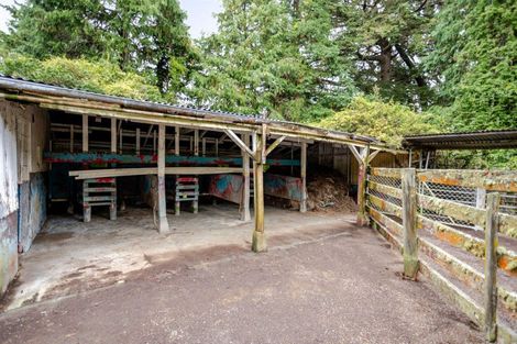 Photo of property in 406 Top Grass Road, Dannevirke, 4978