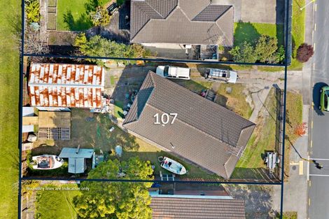 Photo of property in 103 Sunnynook Road, Forrest Hill, Auckland, 0620