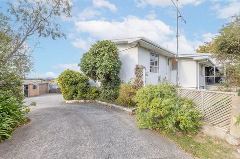 Photo of property in 195 Taharepa Road, Tauhara, Taupo, 3330