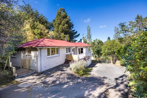 Photo of property in 55a Walter Street, The Glen, Dunedin, 9011