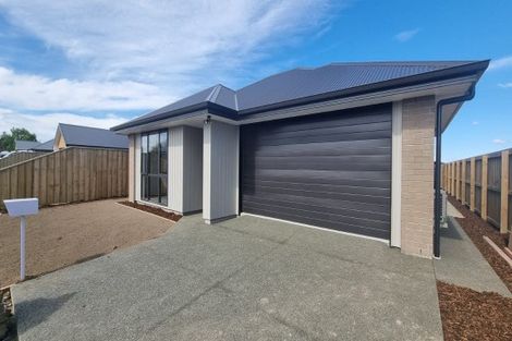 Photo of property in 150 Trevors Road, Elgin, Ashburton, 7700