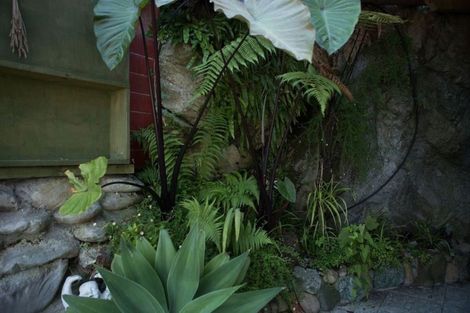 Photo of property in 1 Alexander Street, Greymouth, 7805