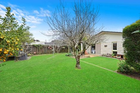 Photo of property in 56 Glen Lynne Avenue, Queenwood, Hamilton, 3210