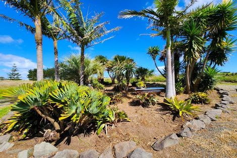 Photo of property in 1325 Te Maire Road, Te Kopuru, 0391