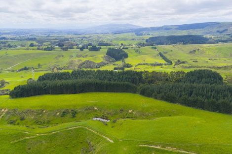 Photo of property in 158 Pahiatua Aokautere Road, Aokautere, 4471