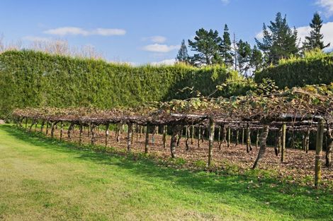 Photo of property in 11 Gill Lane, Te Puna, Tauranga, 3174