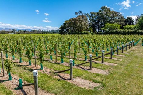 Photo of property in 30 Rapaura Road, Renwick, Blenheim, 7273