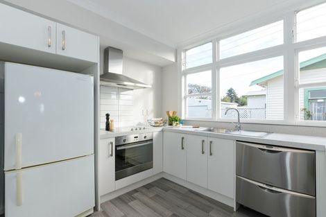 Photo of property in 50 Manson Street, Terrace End, Palmerston North, 4410