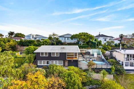Photo of property in 17 Spencer Road, Hospital Hill, Napier, 4110