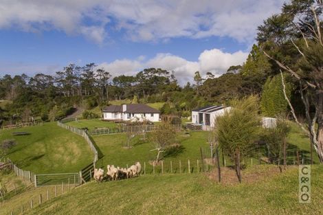 Photo of property in 319a Wishart Road, Helensville, 0875