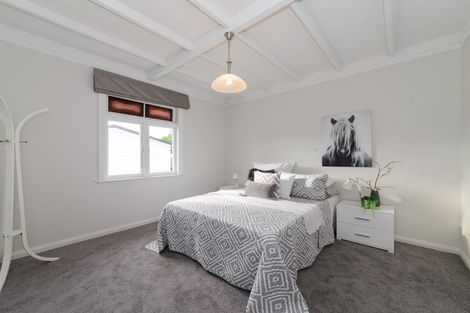 Photo of property in 50 Manson Street, Terrace End, Palmerston North, 4410