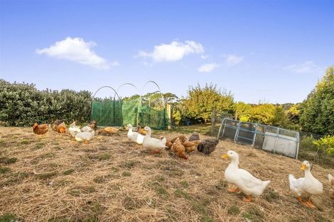 Photo of property in 24b Bethells Road, Waitakere, Auckland, 0816