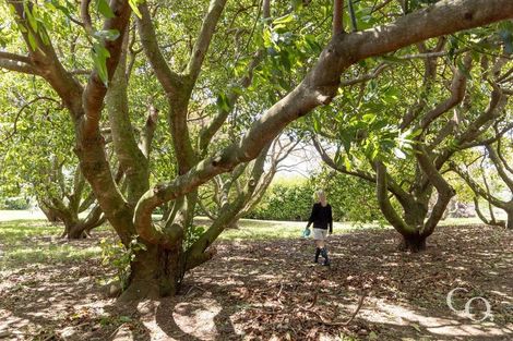 Photo of property in 499 Wainui Road South, Whakamarama, Tauranga, 3180