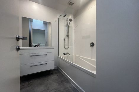 Photo of property in 3ul Papawai Terrace, Mount Cook, Wellington, 6021