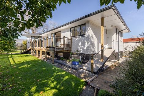 Photo of property in 22 Tenth Avenue, Tauranga, 3110