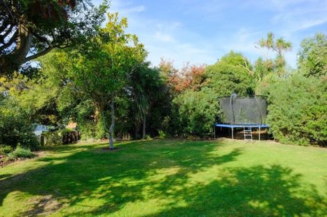 Photo of property in 77 Oakwood Avenue, Maryhill, Dunedin, 9011