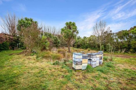 Photo of property in 451 Ridge Road, Motukarara, Christchurch, 7672