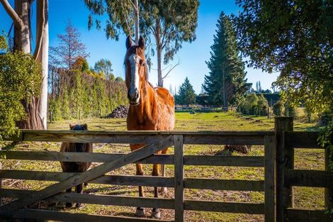 Photo of property in 173 Bells Road, West Melton, Christchurch, 7671