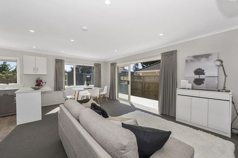 Photo of property in 110 Cook Street, Hamilton East, Hamilton, 3216