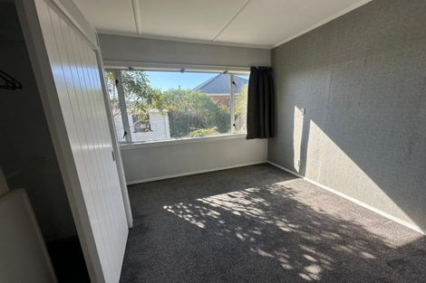 Photo of property in 15 Puketai Street, Andersons Bay, Dunedin, 9013