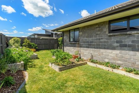 Photo of property in 26 Cupples Street, Papamoa Beach, Papamoa, 3118