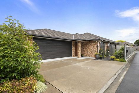 Photo of property in 219 College Street, West End, Palmerston North, 4412