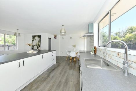 Photo of property in 12 Pukeko Place, Southshore, Christchurch, 8062