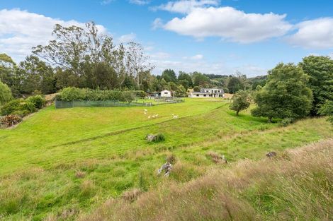 Photo of property in 41 Glenelg Street, Bradford, Dunedin, 9011