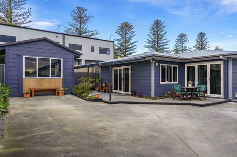 Photo of property in 102a Mcgrath Street, Napier South, Napier, 4110