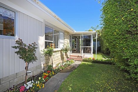 Photo of property in 7a Laurent Place, Greenmeadows, Napier, 4112