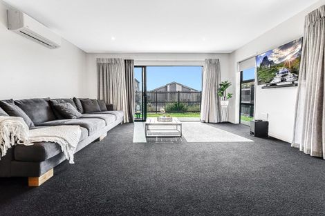 Photo of property in 38 Probert Crescent, Chartwell, Hamilton, 3210