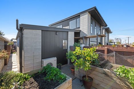 Photo of property in 38b Monro Street, Blenheim, 7201