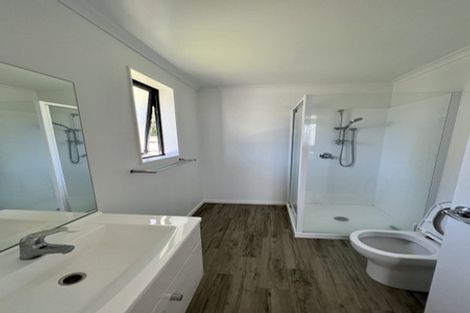 Photo of property in 393a Peachgrove Road, Fairfield, Hamilton, 3214