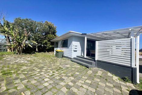 Photo of property in 133 Finlayson Avenue, Clendon Park, Auckland, 2103