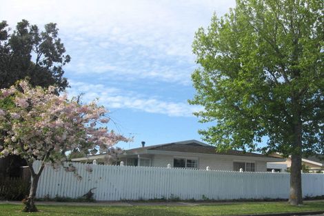 Photo of property in 48 Dillon Street, Blenheim, 7201