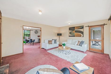 Photo of property in 84 Leeston Dunsandel Road, Leeston, 7682