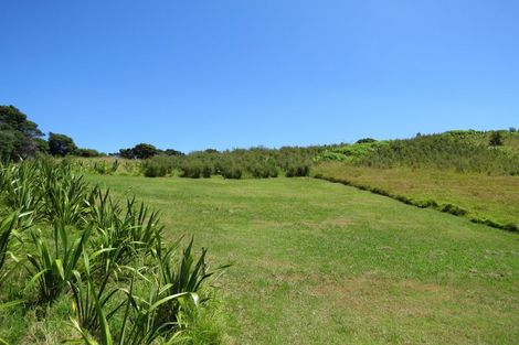 Photo of property in 1592 Colville Road, Amodeo Bay, Coromandel, 3584